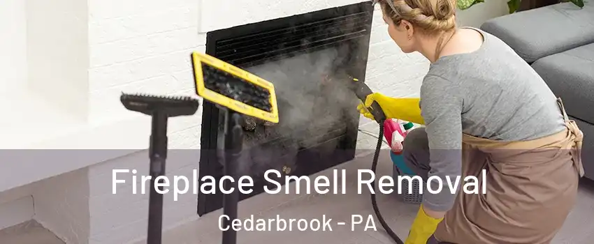 Fireplace Smell Removal Cedarbrook - PA