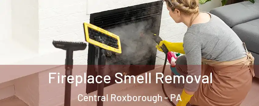 Fireplace Smell Removal Central Roxborough - PA