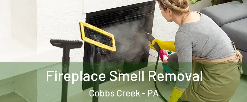 Fireplace Smell Removal Cobbs Creek - PA
