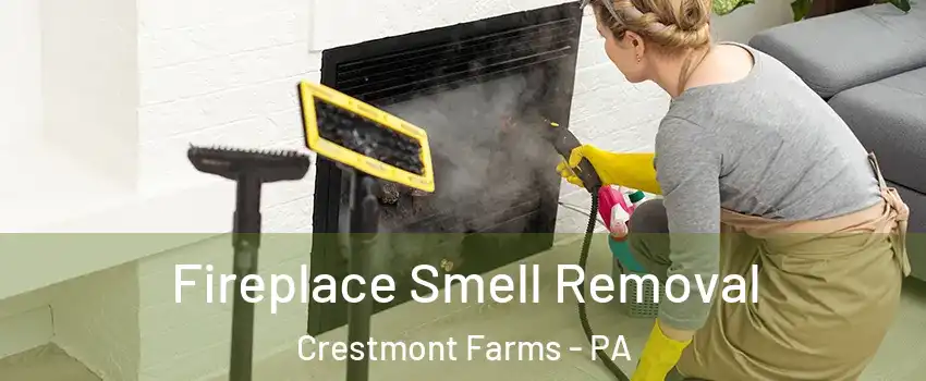 Fireplace Smell Removal Crestmont Farms - PA