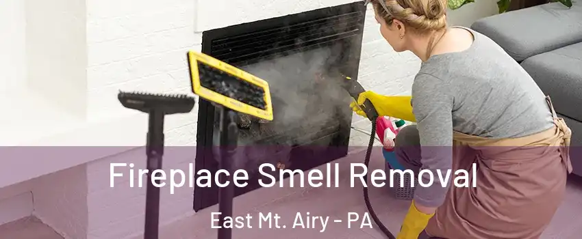 Fireplace Smell Removal East Mt. Airy - PA