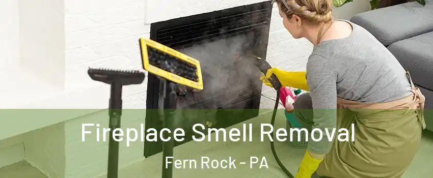 Fireplace Smell Removal Fern Rock - PA