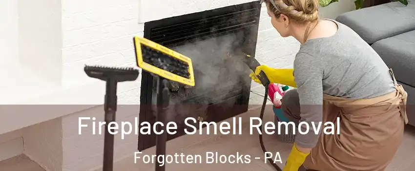 Fireplace Smell Removal Forgotten Blocks - PA