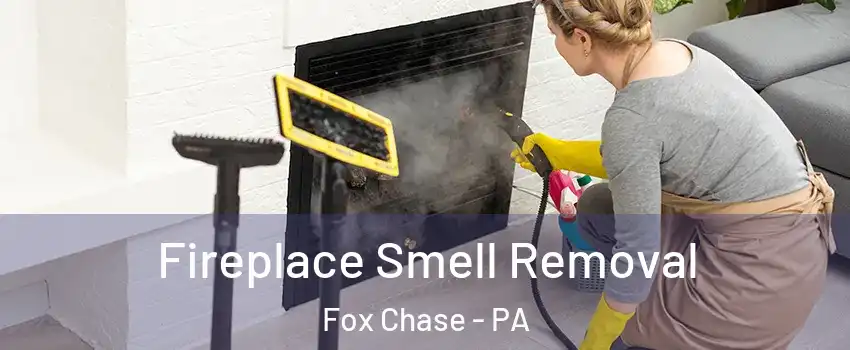 Fireplace Smell Removal Fox Chase - PA
