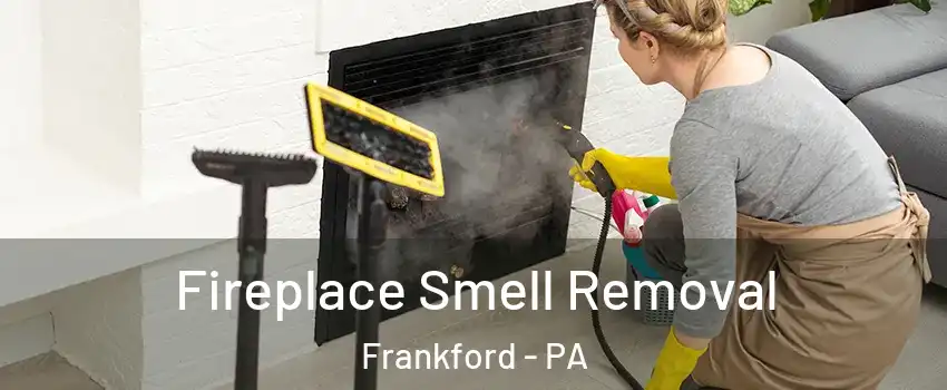 Fireplace Smell Removal Frankford - PA