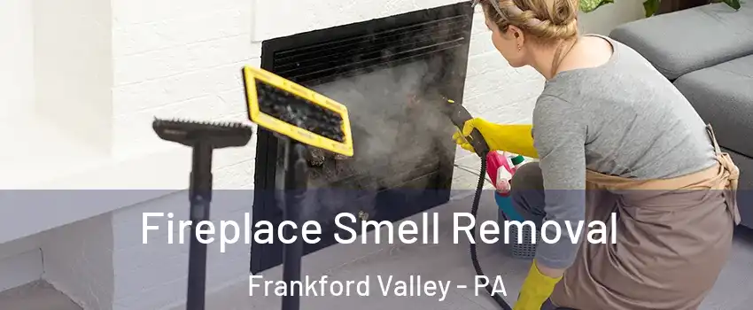 Fireplace Smell Removal Frankford Valley - PA