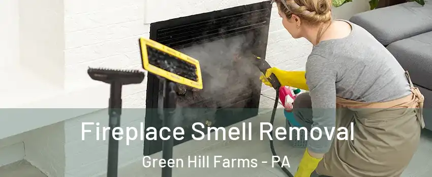 Fireplace Smell Removal Green Hill Farms - PA