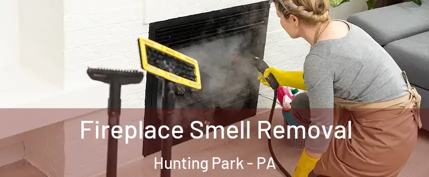 Fireplace Smell Removal Hunting Park - PA