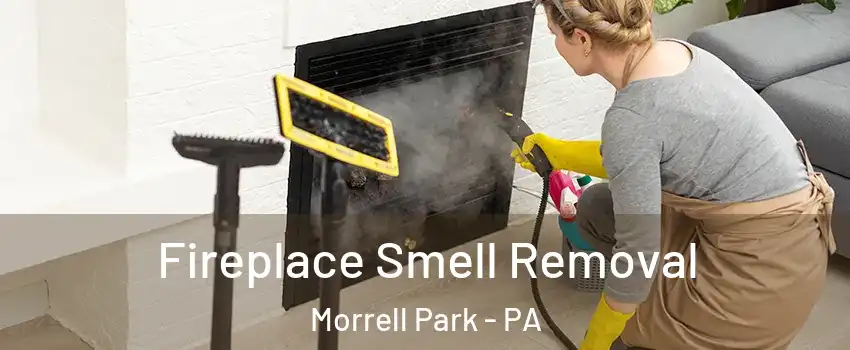 Fireplace Smell Removal Morrell Park - PA