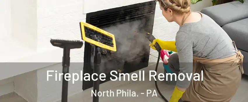Fireplace Smell Removal North Phila. - PA