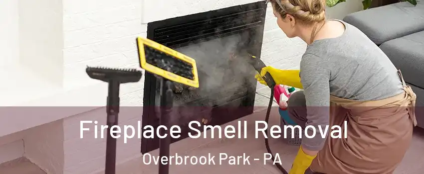 Fireplace Smell Removal Overbrook Park - PA