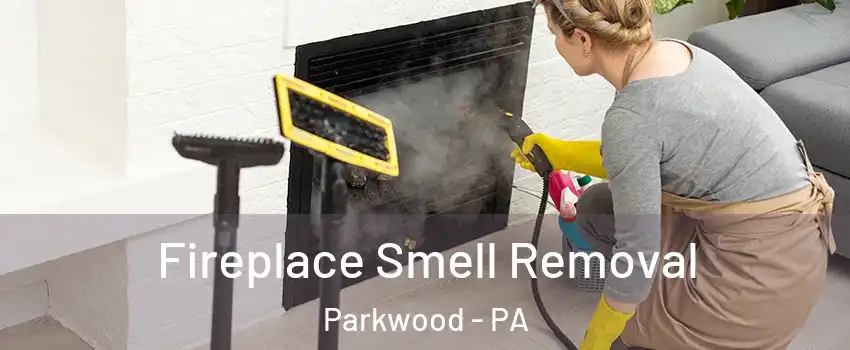 Fireplace Smell Removal Parkwood - PA