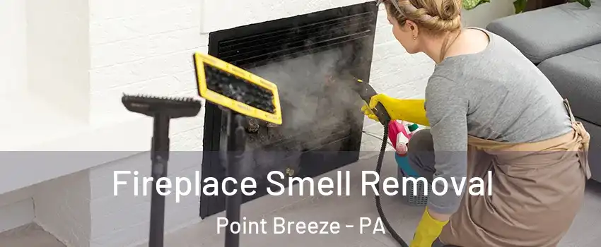 Fireplace Smell Removal Point Breeze - PA