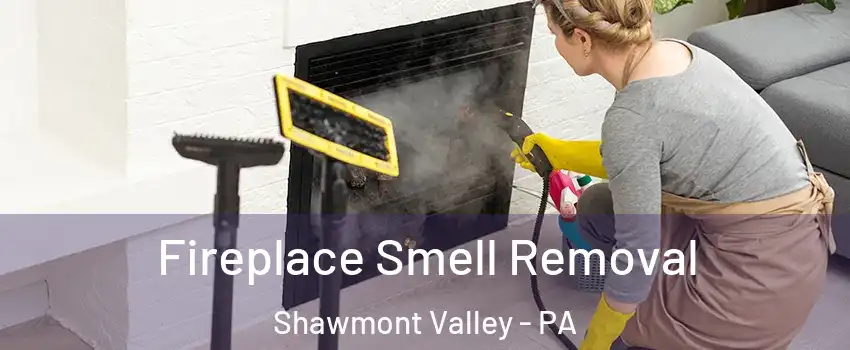Fireplace Smell Removal Shawmont Valley - PA