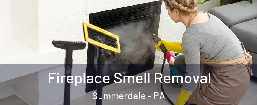 Fireplace Smell Removal Summerdale - PA