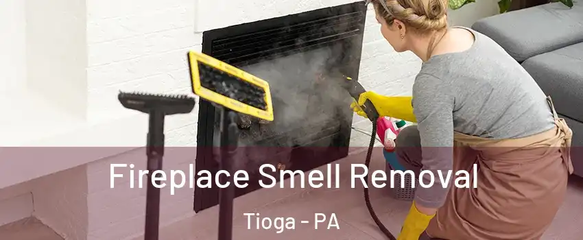 Fireplace Smell Removal Tioga - PA