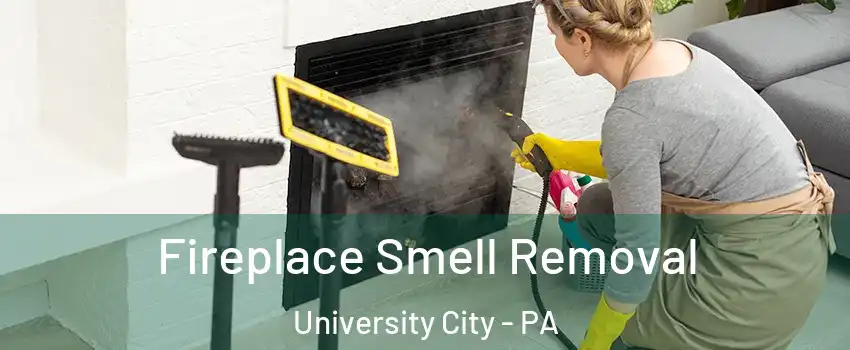 Fireplace Smell Removal University City - PA