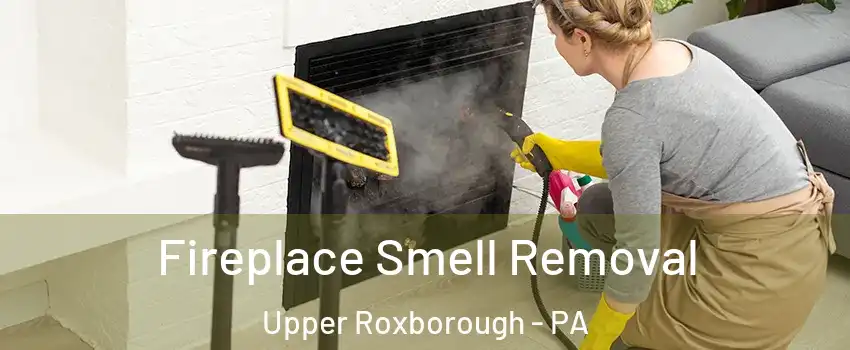 Fireplace Smell Removal Upper Roxborough - PA