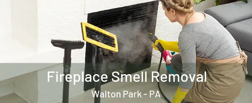 Fireplace Smell Removal Walton Park - PA