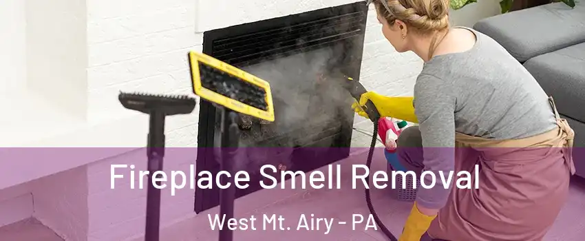 Fireplace Smell Removal West Mt. Airy - PA