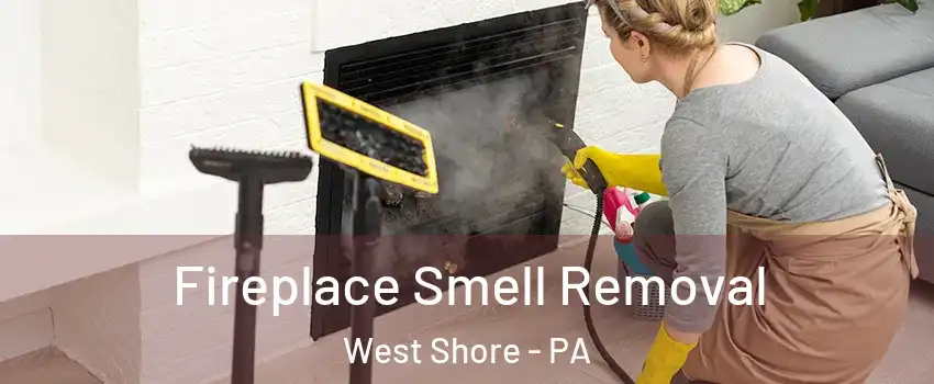 Fireplace Smell Removal West Shore - PA