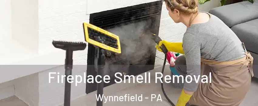 Fireplace Smell Removal Wynnefield - PA