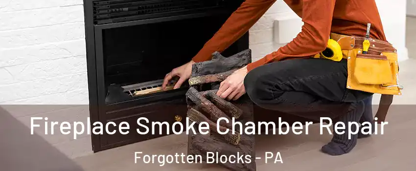 Fireplace Smoke Chamber Repair Forgotten Blocks - PA