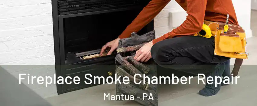 Fireplace Smoke Chamber Repair Mantua - PA