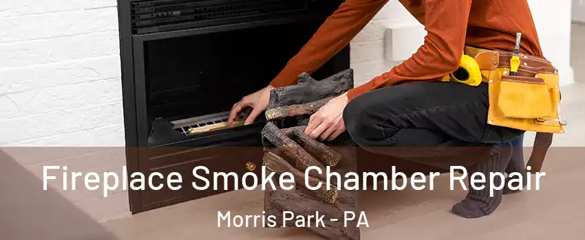 Fireplace Smoke Chamber Repair Morris Park - PA