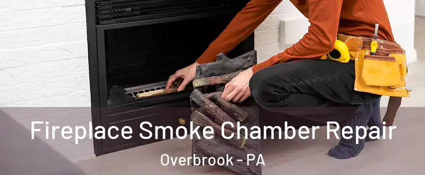 Fireplace Smoke Chamber Repair Overbrook - PA