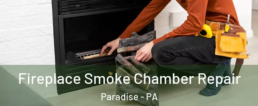 Fireplace Smoke Chamber Repair Paradise - PA