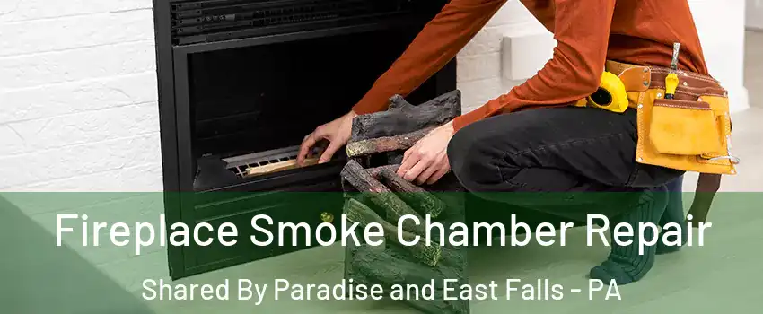 Fireplace Smoke Chamber Repair Shared By Paradise and East Falls - PA