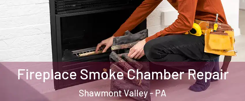 Fireplace Smoke Chamber Repair Shawmont Valley - PA