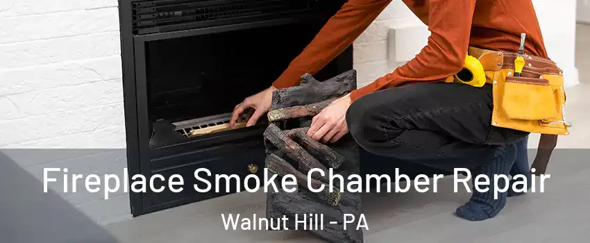 Fireplace Smoke Chamber Repair Walnut Hill - PA