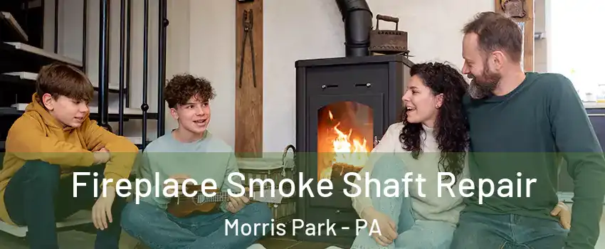 Fireplace Smoke Shaft Repair Morris Park - PA