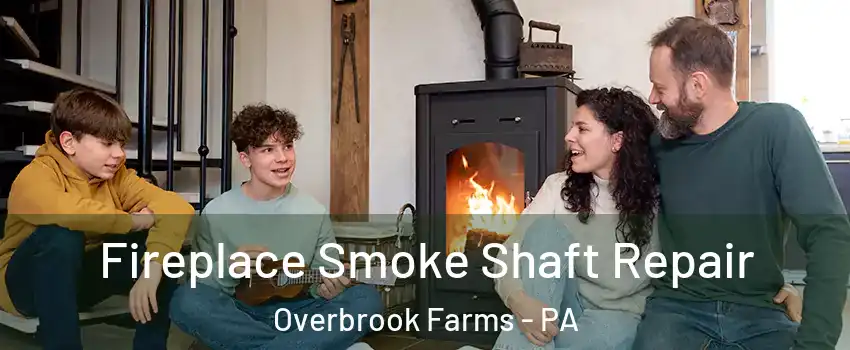 Fireplace Smoke Shaft Repair Overbrook Farms - PA