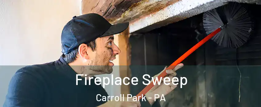 Fireplace Sweep Carroll Park - PA