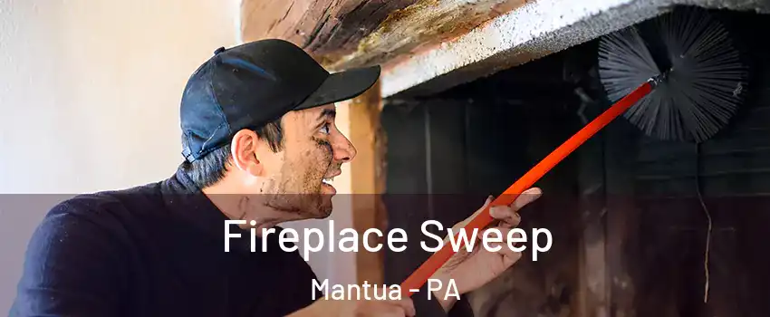 Fireplace Sweep Mantua - PA