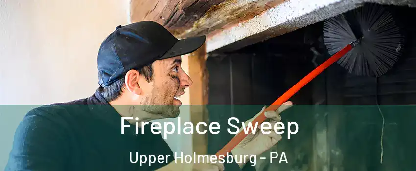 Fireplace Sweep Upper Holmesburg - PA