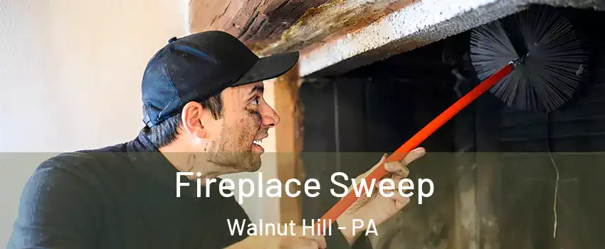 Fireplace Sweep Walnut Hill - PA