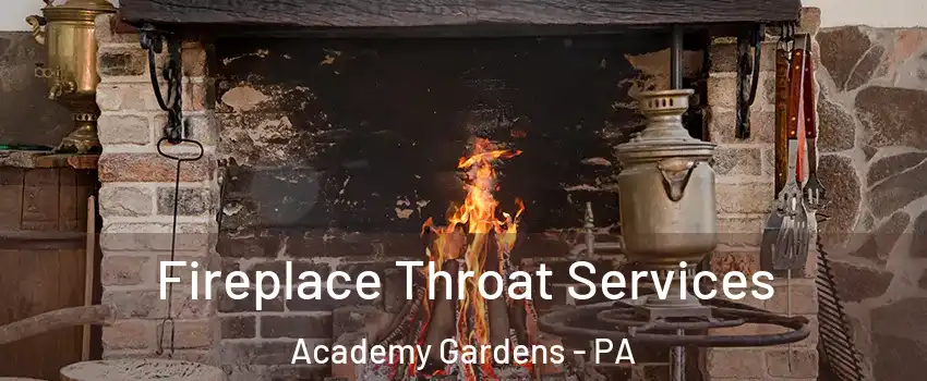 Fireplace Throat Services Academy Gardens - PA