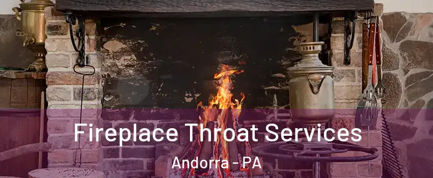 Fireplace Throat Services Andorra - PA