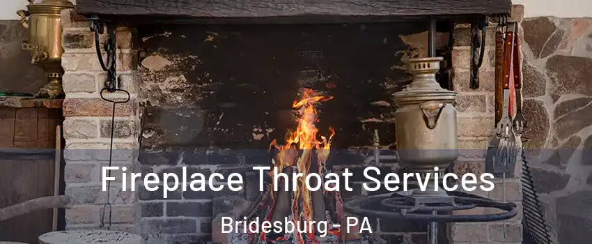 Fireplace Throat Services Bridesburg - PA