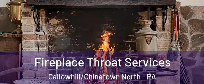 Fireplace Throat Services Callowhill/Chinatown North - PA