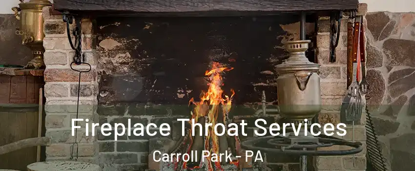 Fireplace Throat Services Carroll Park - PA