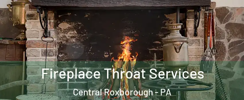 Fireplace Throat Services Central Roxborough - PA