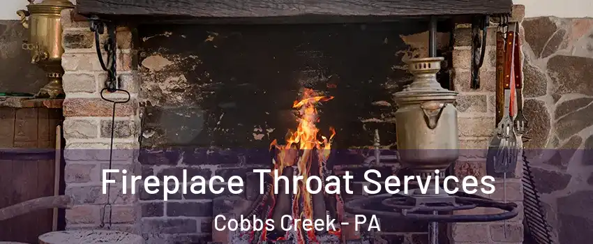 Fireplace Throat Services Cobbs Creek - PA