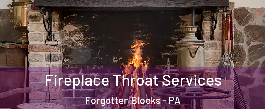 Fireplace Throat Services Forgotten Blocks - PA