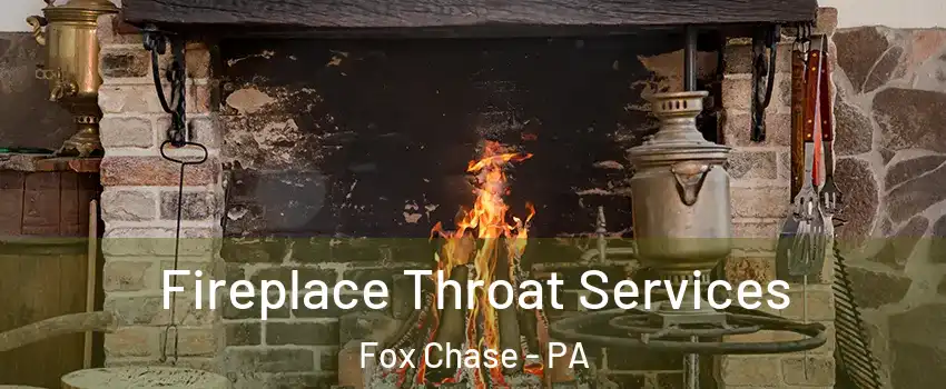 Fireplace Throat Services Fox Chase - PA