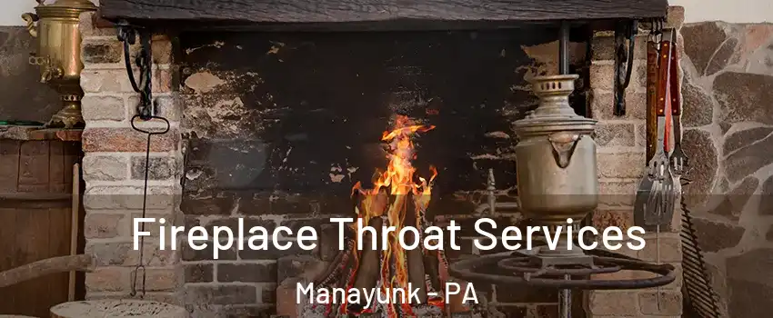 Fireplace Throat Services Manayunk - PA
